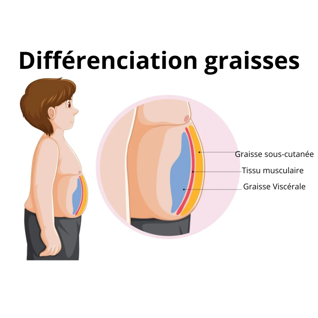 illustration graisses